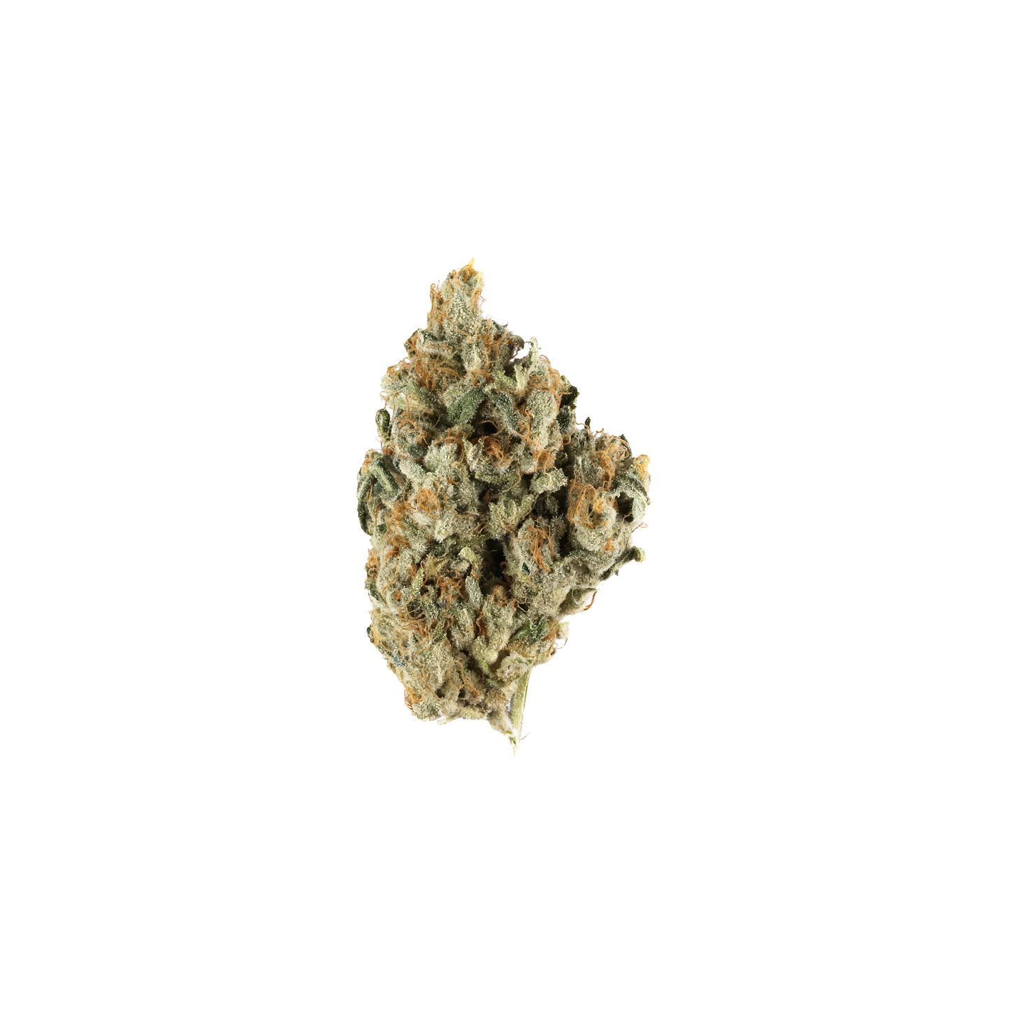 California Hash Plant
